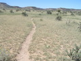 #8: Trail heading northwest a few meters southwest of the confluence point: Explore the unknown!