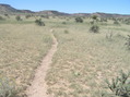 #8: Trail heading northwest a few meters southwest of the confluence point: Explore the unknown!
