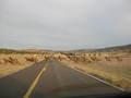 #2: Elk stampede!