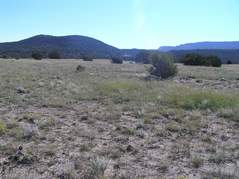 View to the east from the confluence:  Colorado on left, New Mexico on right.