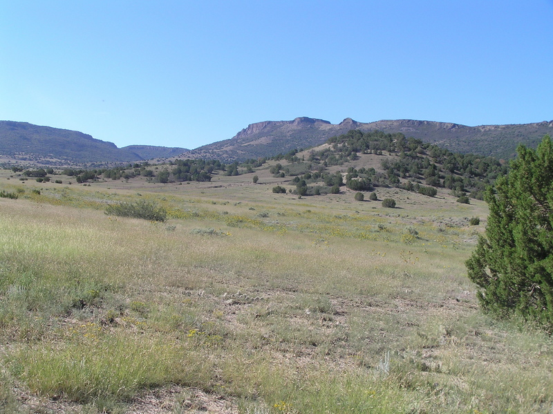 View to the south from the confluence: Into New Mexico.