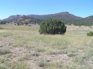 #1: Site of 37 North 104 West, in the center foreground, looking south-southwest.