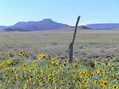 #2: Beautiful view from 5 km north of the confluence, looking back south at the confluence. 