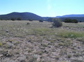 #5: View to the east from the confluence:  Colorado on left, New Mexico on right.