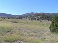 #6: View to the south from the confluence: Into New Mexico.