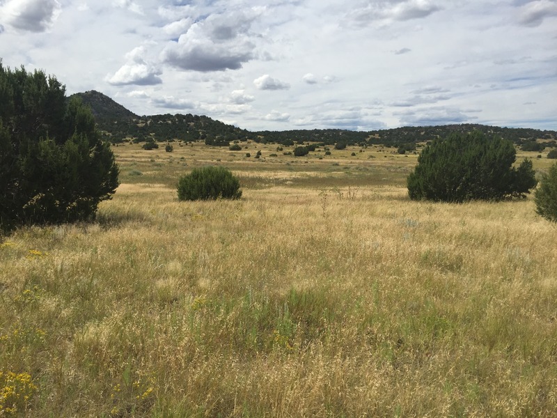 View to the west from the confluence.