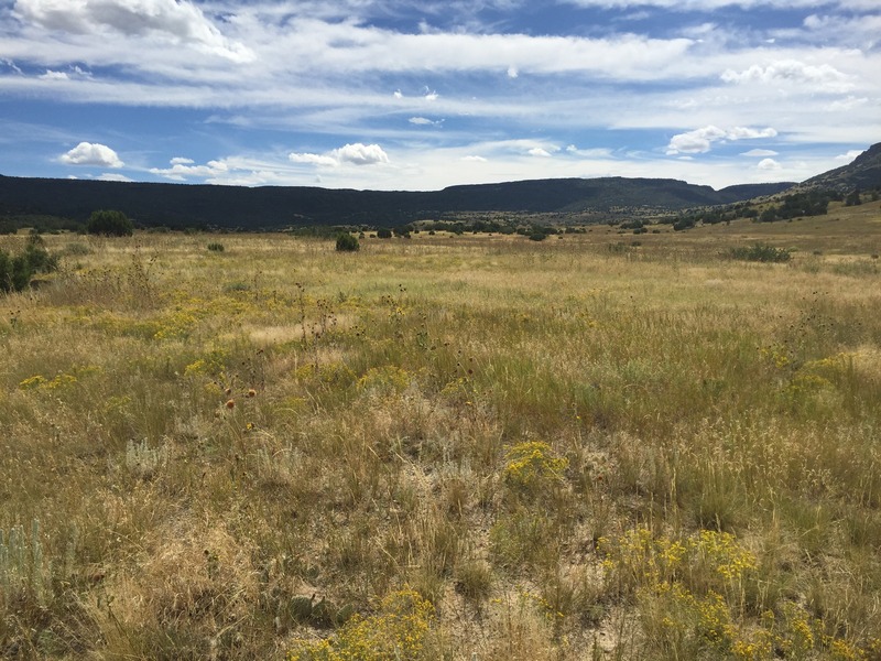 View to the south from the confluence.