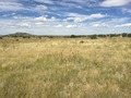 #5: View to the north from the confluence.