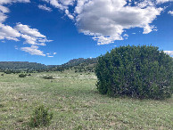 #4: Looking south
