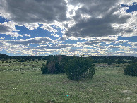 #5: Looking west