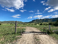 #9: Looking south into New Mexico (on the other side of the cattle guard)