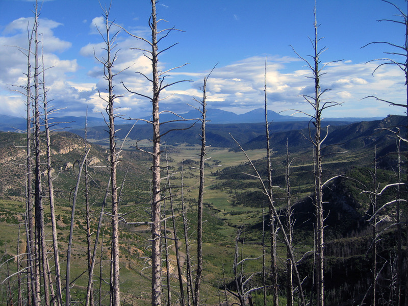 View north from ridge above confluence