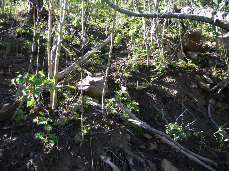 View south showing very steep slope