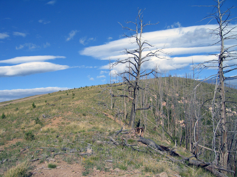 View west from top of ridge, confluence is steeply down hill to right 