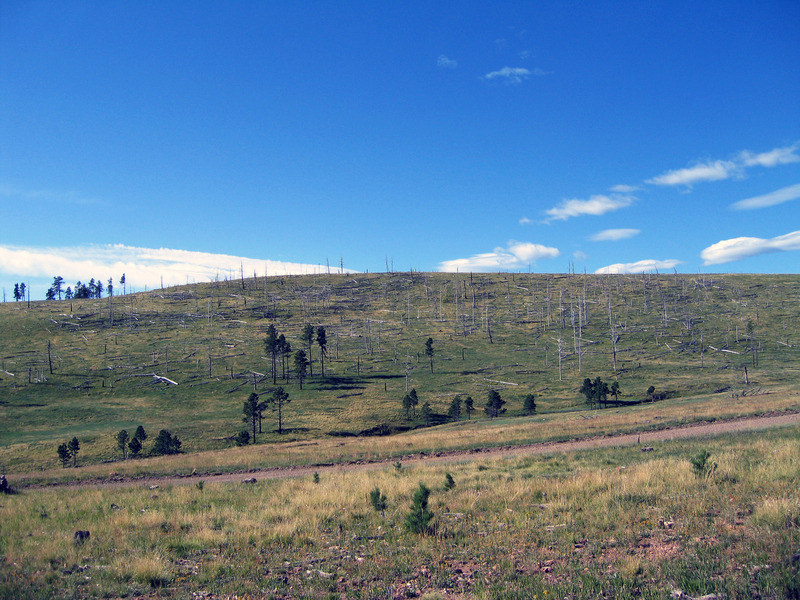 View south from top of ridgeline above confluence 