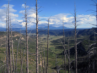 #1: View north from ridge above confluence
