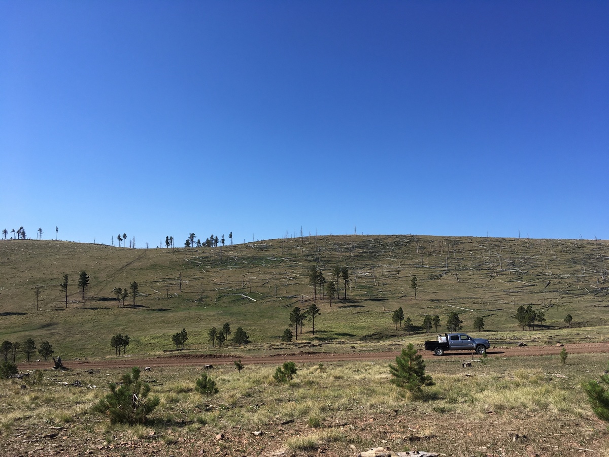 Cody's truck parked just over the ridge to the south of the confluence on Tercio Ranch land