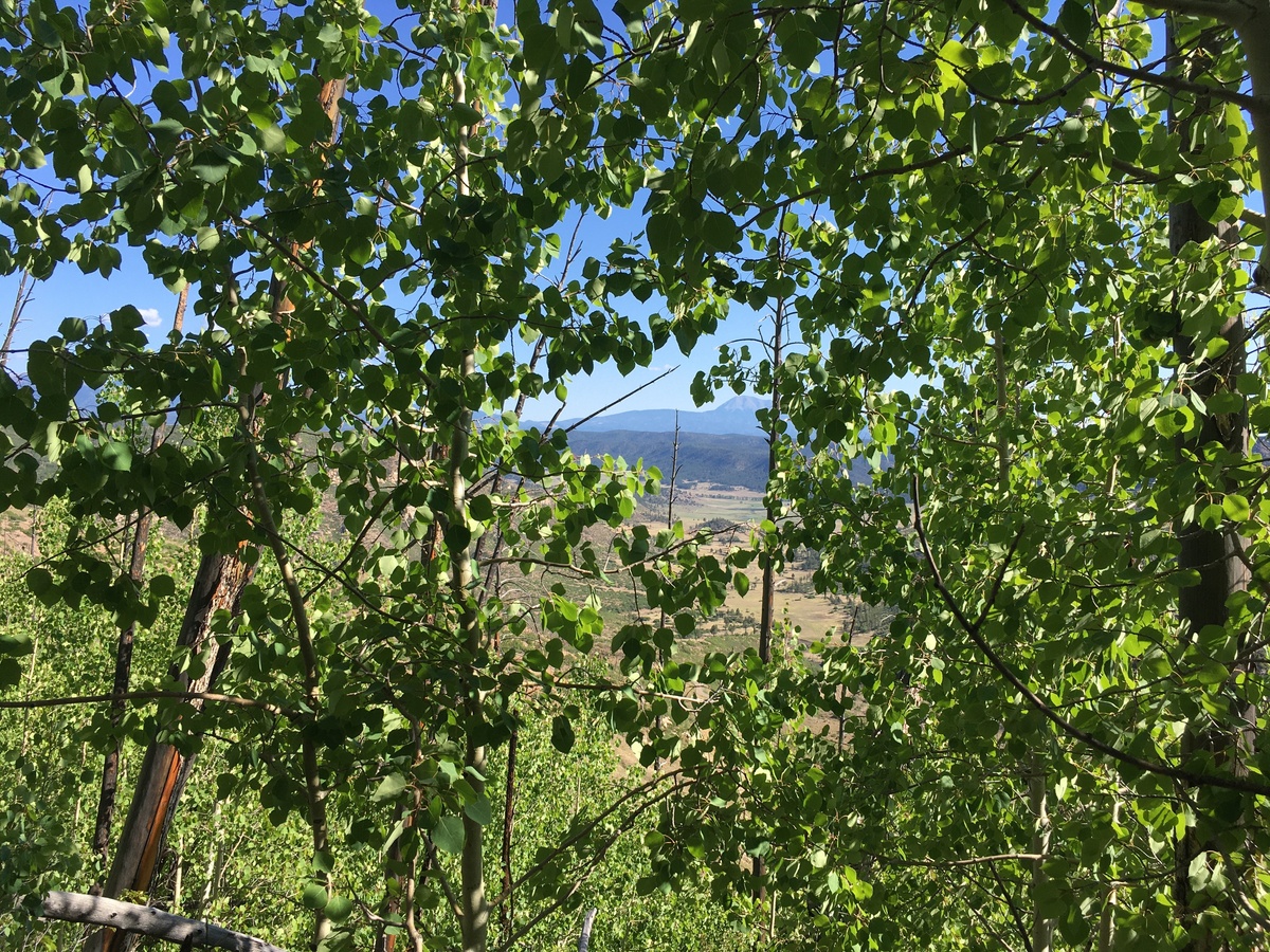 View to the north toward the valley