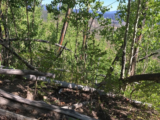 #1: View NW toward the confluence in the foreground #1: View NW toward the confluence in the foreground