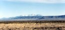 #4: North - toward Sierra Blanca Peak and town of Antonito