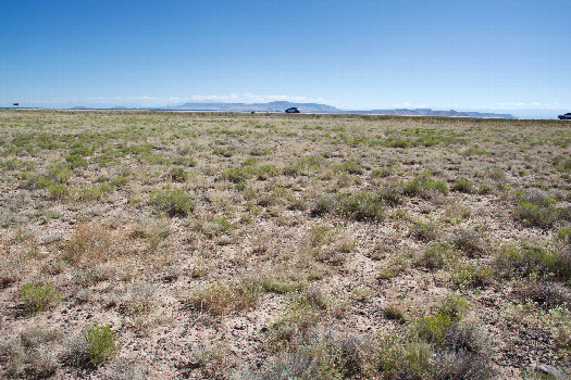 #1: The confluence point lies just 350 feet from a highway.  (This is also a view to the East, towards the highway.)