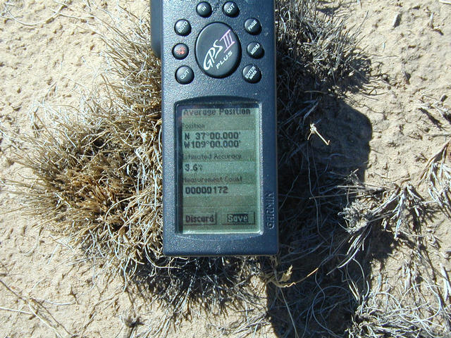 Confluence at grazed grass clump