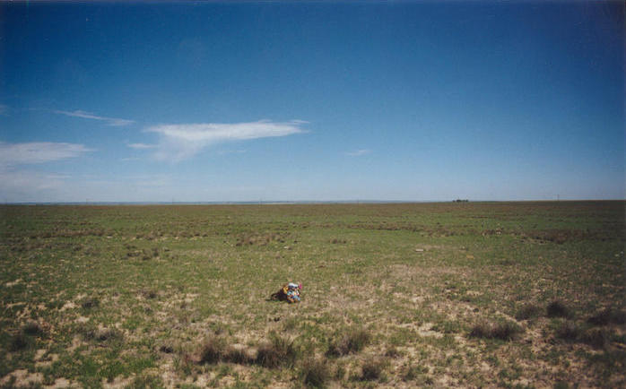 T. McGee Bear facing south at the point.