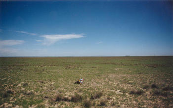 #1: T. McGee Bear facing south at the point.