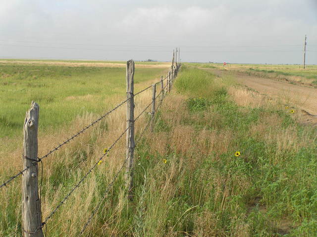 Nearest road to the confluence, at the end of the confluence hike, looking south.