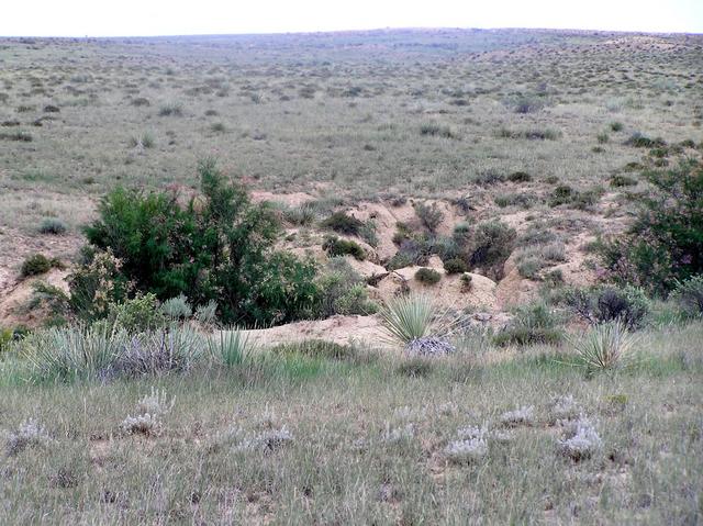 Confluence of 38 North 104 West, looking due east on the Great Plains.