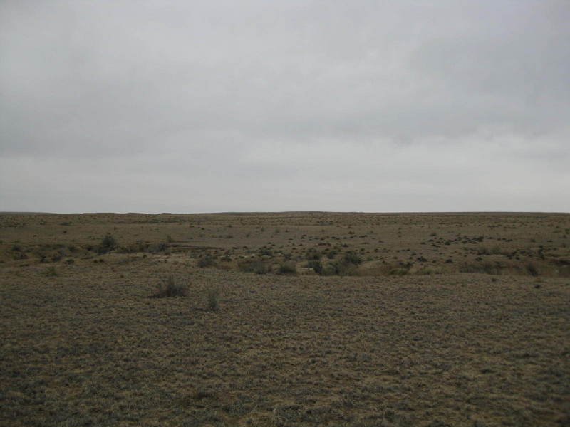 View to the east
