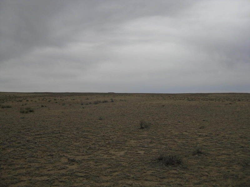 View to the south