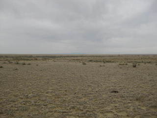 #1: Looking northwest at the site