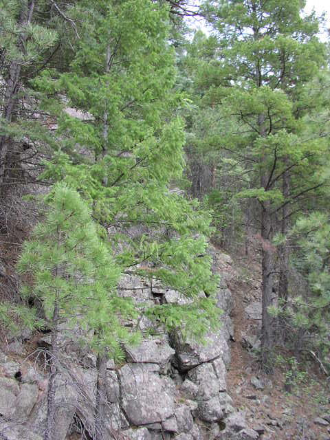 Southwest from the Confluence.