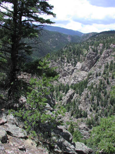 Northwest from the top of the cliff, 425 feet from the Confluence.