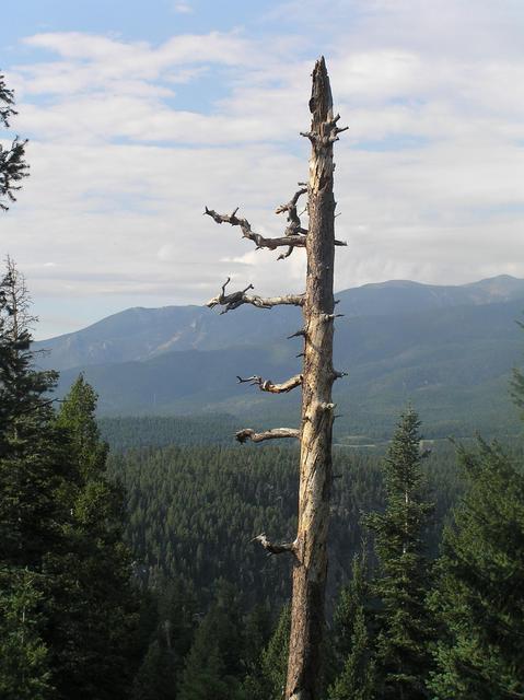 View to the south along the San Carlos Trail, 1.2 km north of the confluence.