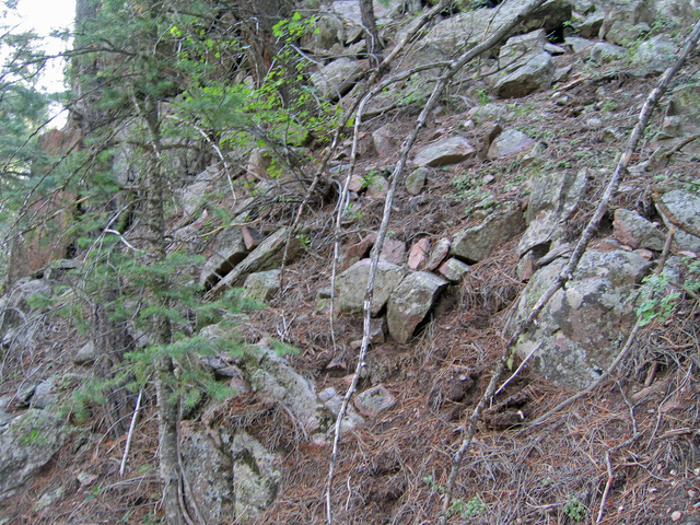 View east