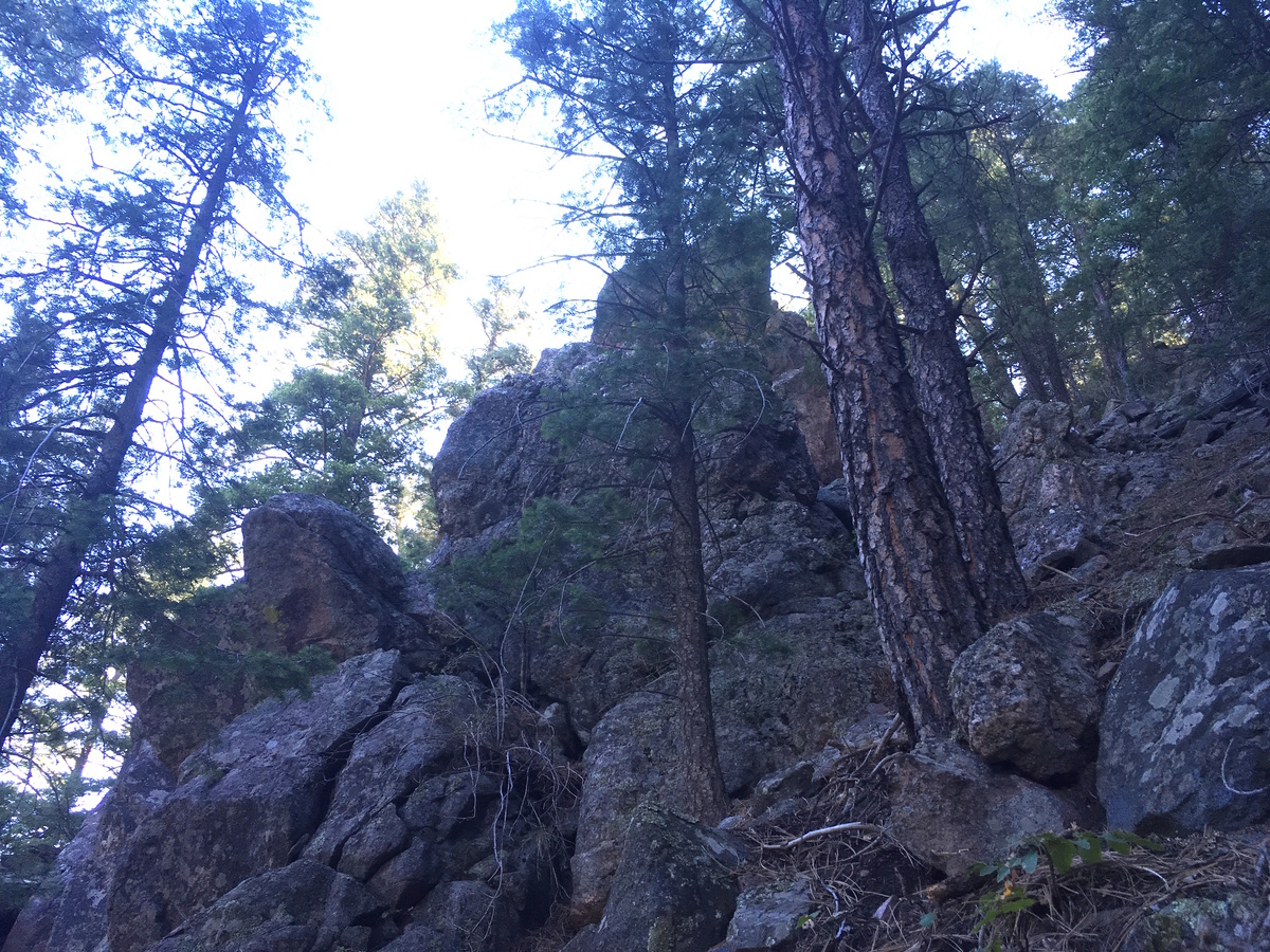 View SE and up toward the confluence (rock in the center foreground)