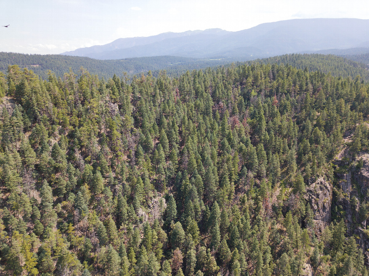 View South, from above the point