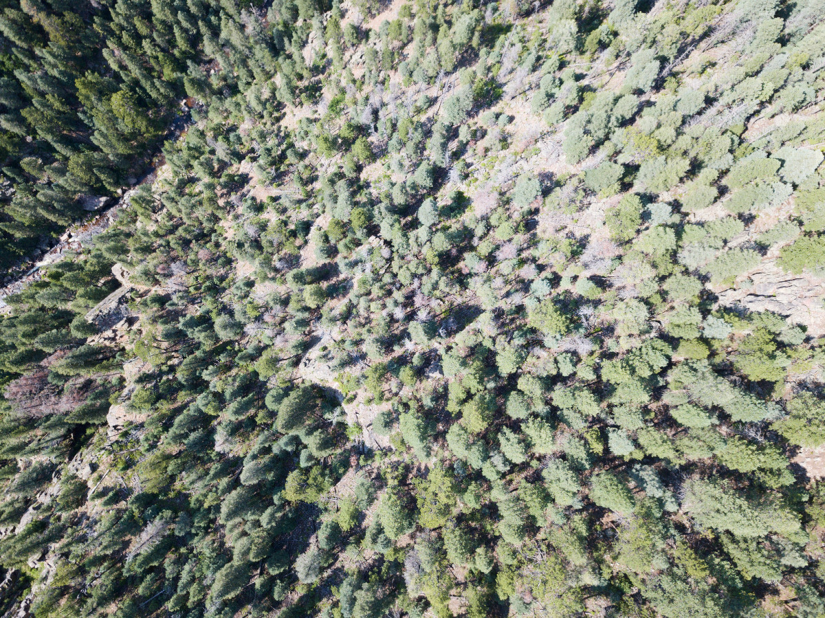Looking down on the point from above