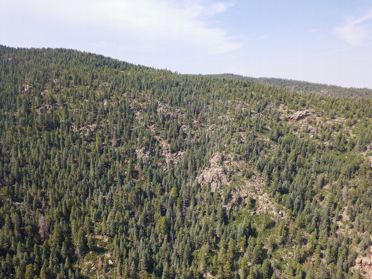 View North, from above the point