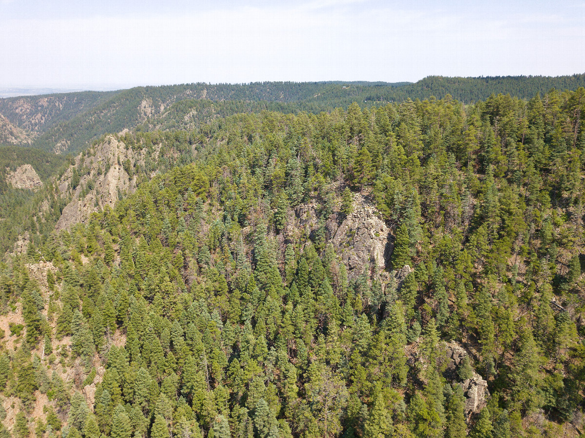 View East, from above the point