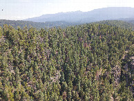 #10: View South, from above the point