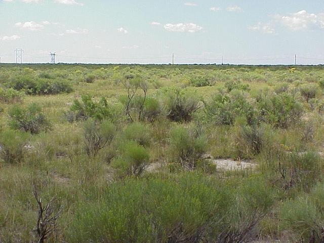 View to the south from the confluence.