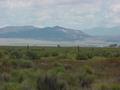 #6: View to the north from the confluence site.