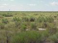 #8: View to the south from the confluence.