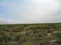 #2: View South