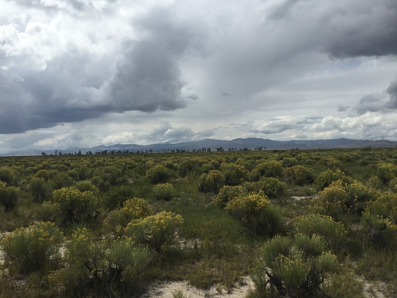 View to the west from the confluence.