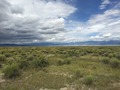 #6: View to the north from the confluence.