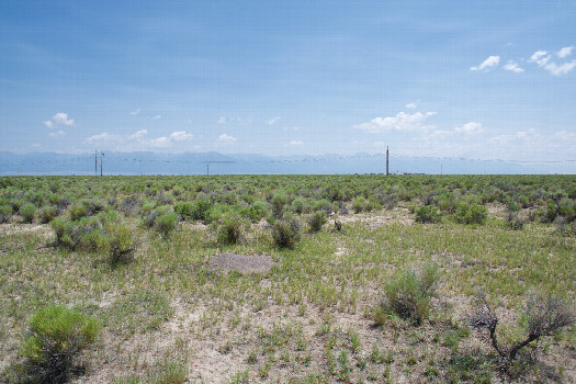 #1: The confluence point lies in flat, arid ranchland.  (This is also a view to the East, towards the Sangre de Cristo Mountains.)